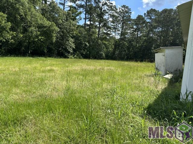 17198 Cannon Road Livingston, LA 70754 - Photo 6 of 8 Gallery Image 6