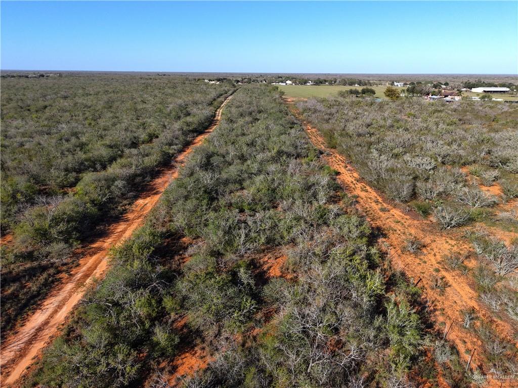 5212 Fm 1017 Delmita, TX 78536 - Photo 11 of 17