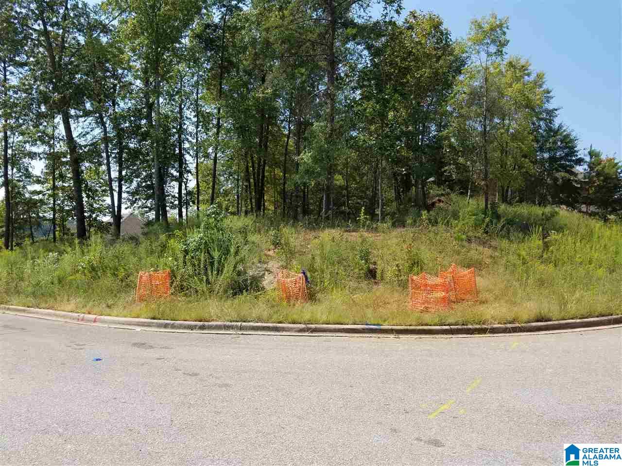 3000 Chelsea Ridge Trail, Unit 33 Chelsea, AL 35051 - Photo 4 of 5