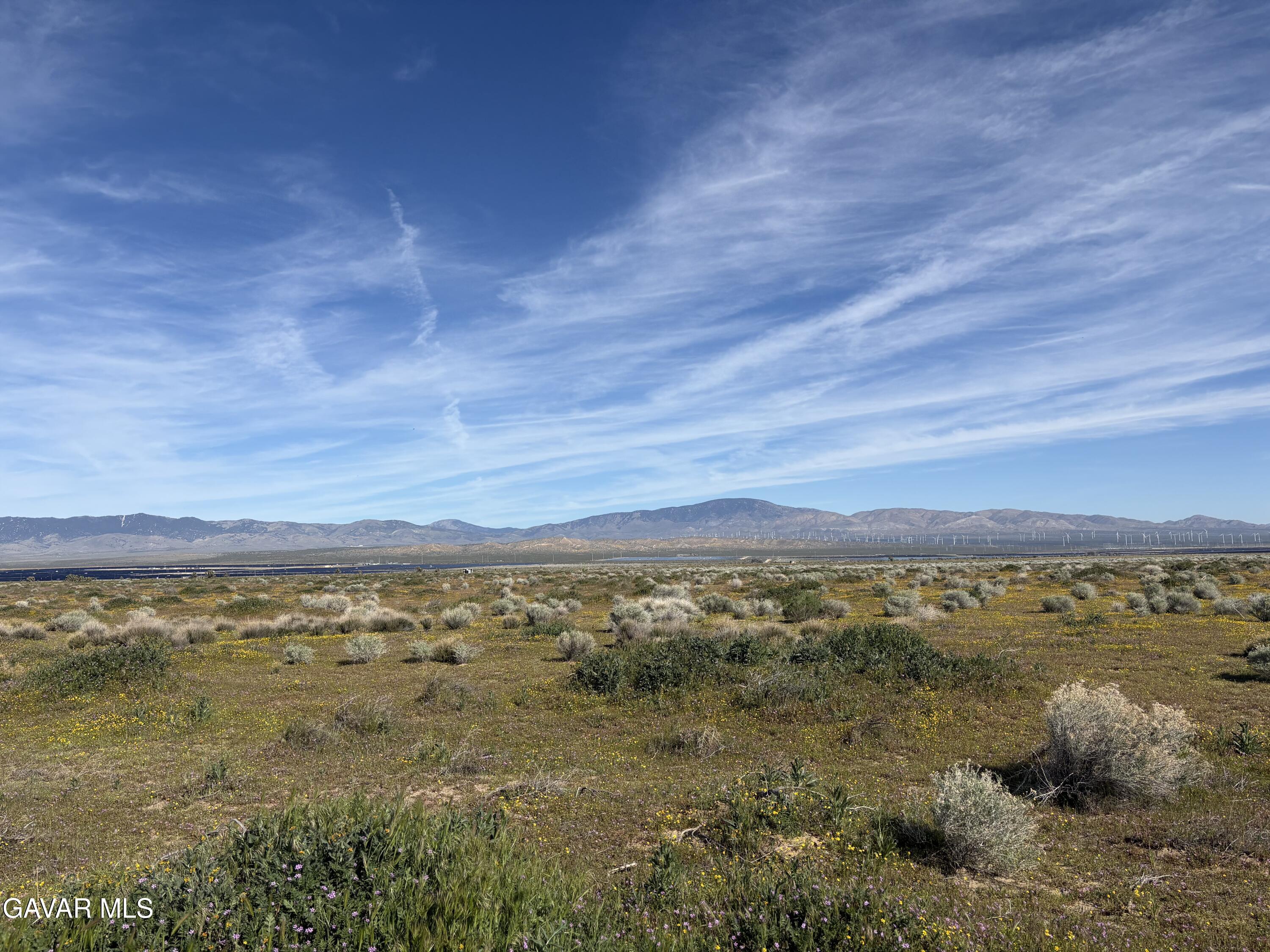 A14 Fut Lancaster, CA 93536 - Photo 1 of 1 IMG_5035