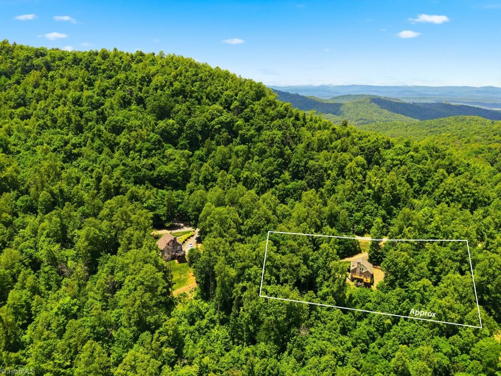 255 Treadway Ridge Road Moravian Falls, NC 28654 - Photo 48 of 50