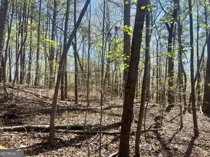 $45,000 | Lot 93 Doll Mountain Road, Ellijay, GA 30540