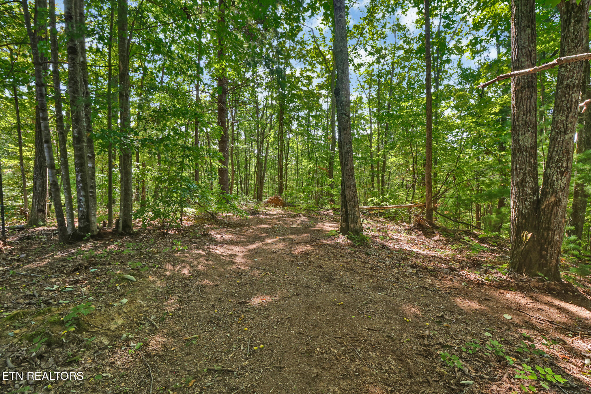 137 Grouse Ridge Road Harriman, TN 37748 - Photo 35 of 51 if1a5549-if1a5553