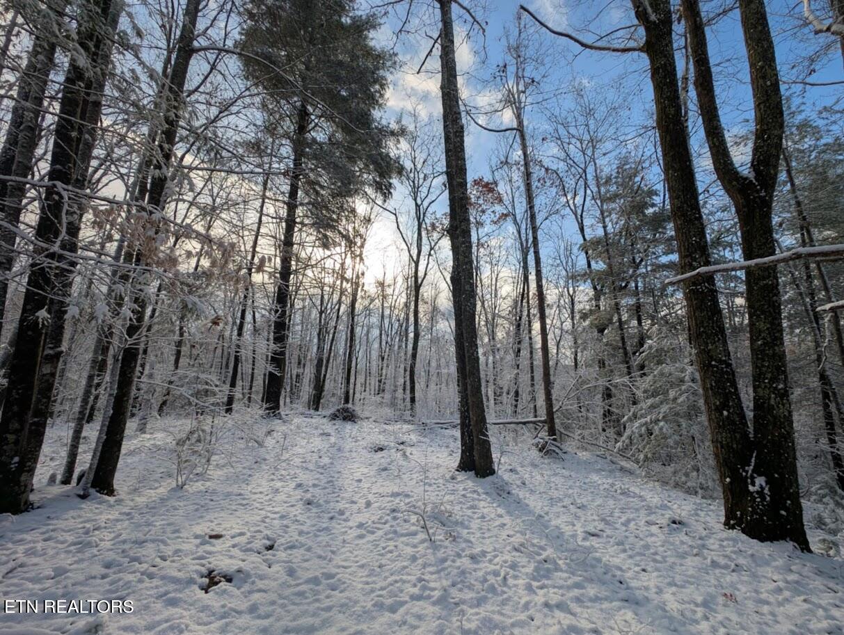 137 Grouse Ridge Road Harriman, TN 37748 - Photo 41 of 51 Messenger_creation_18B049FC-CF3C-4B9D-8D