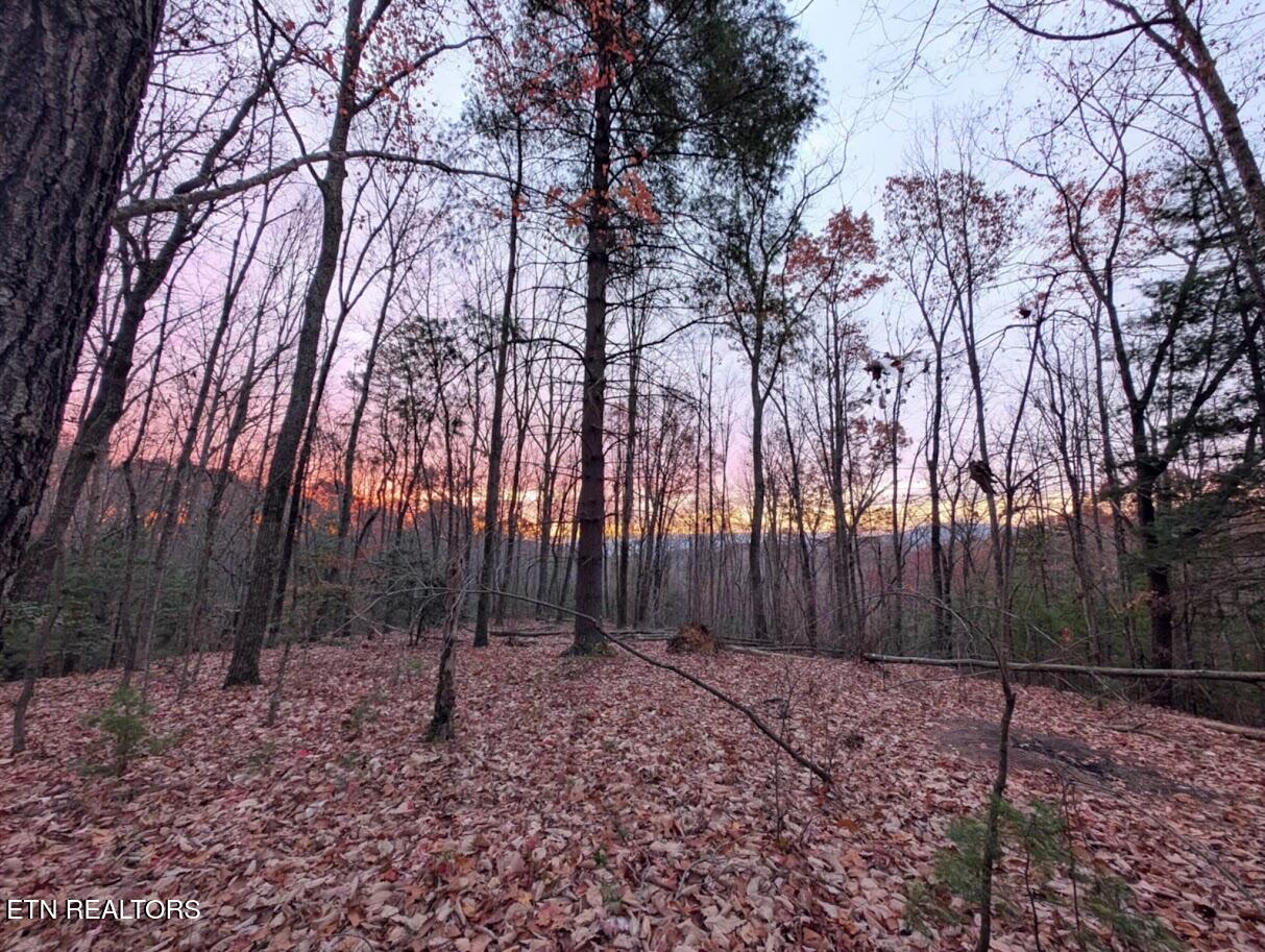 137 Grouse Ridge Road Harriman, TN 37748 - Photo 42 of 51 Messenger_creation_25156B42-E373-45C8-A4