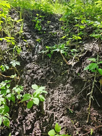 $616,390 | 0 250th Street, Fort Scott, KS 66701