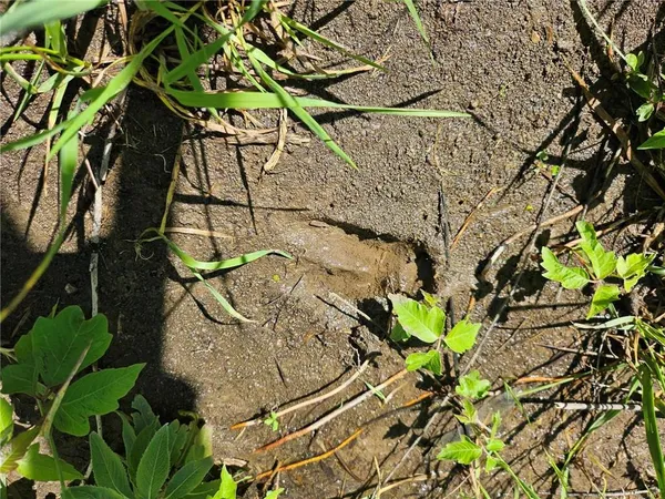 $616,390 | 0 250th Street, Fort Scott, KS 66701