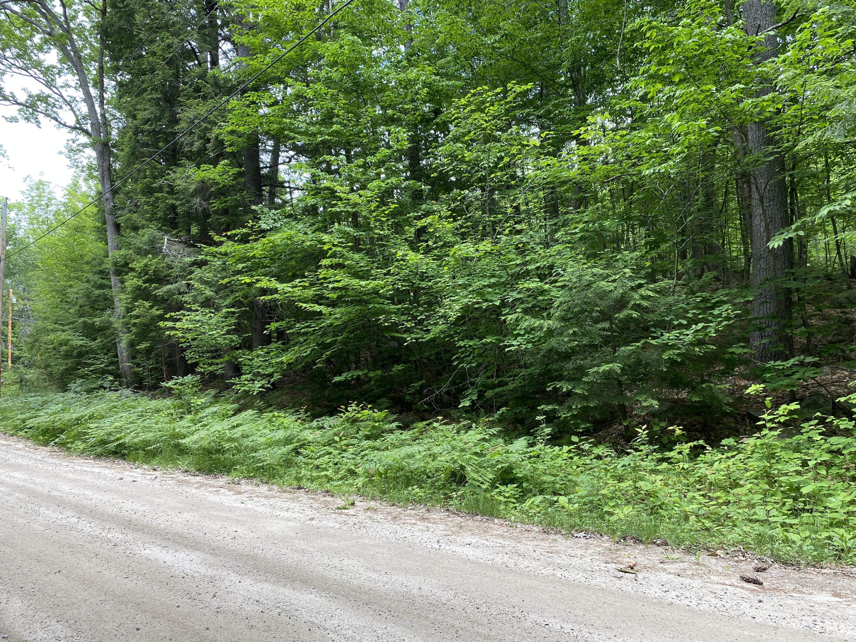 Lot 11 Wildmere Acres Road, Unit ACRES Harrison, ME 04040 - Photo 8 of 11 FD9B6177-204F-47BA-BB44-792A5855836B