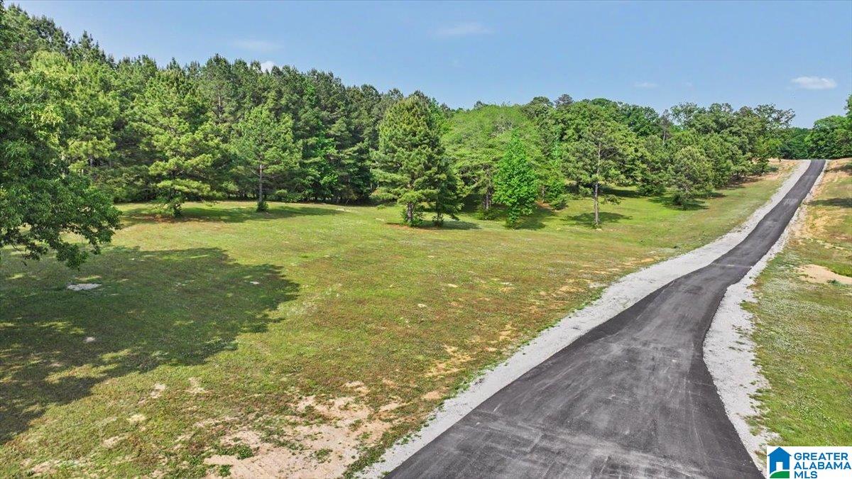 4550 Newbold Road Bessemer, AL 35022 - Photo 30 of 99