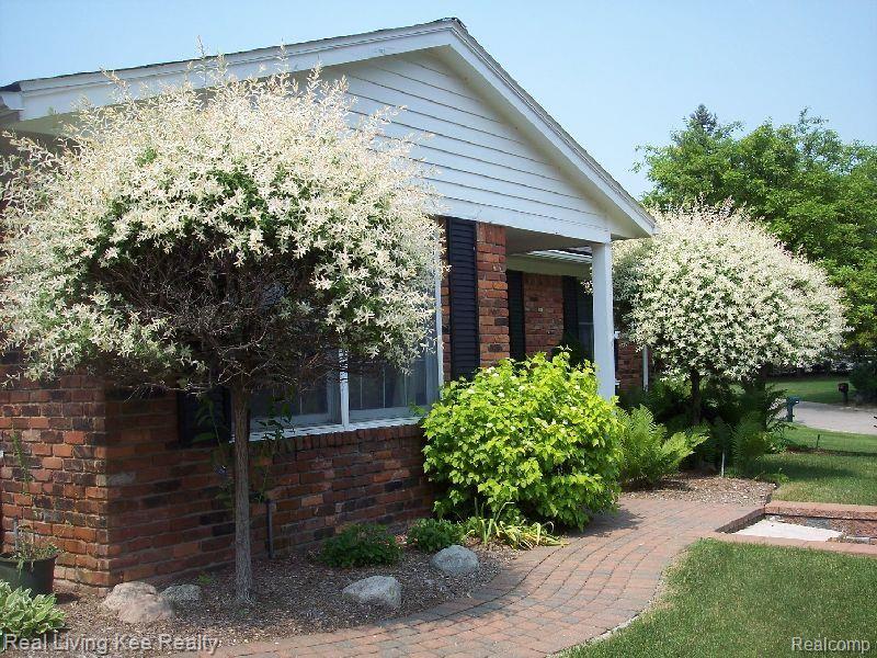 136 Coachlamp Road Rochester, MI 48306 - Photo 7 of 21 walkway