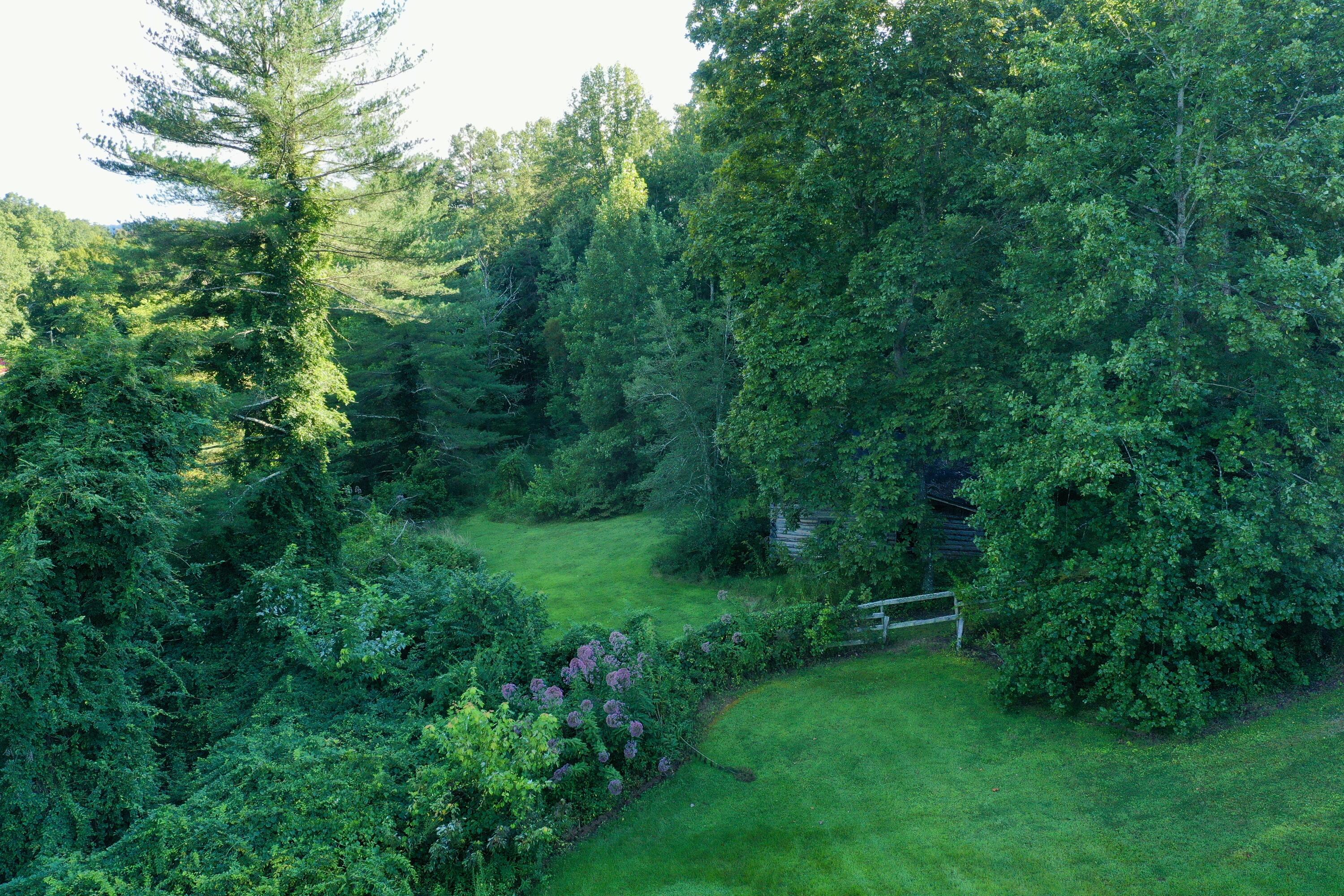 335 Smallwood Road Stanton, KY 40380 - Photo 35 of 46 Land near Cabin