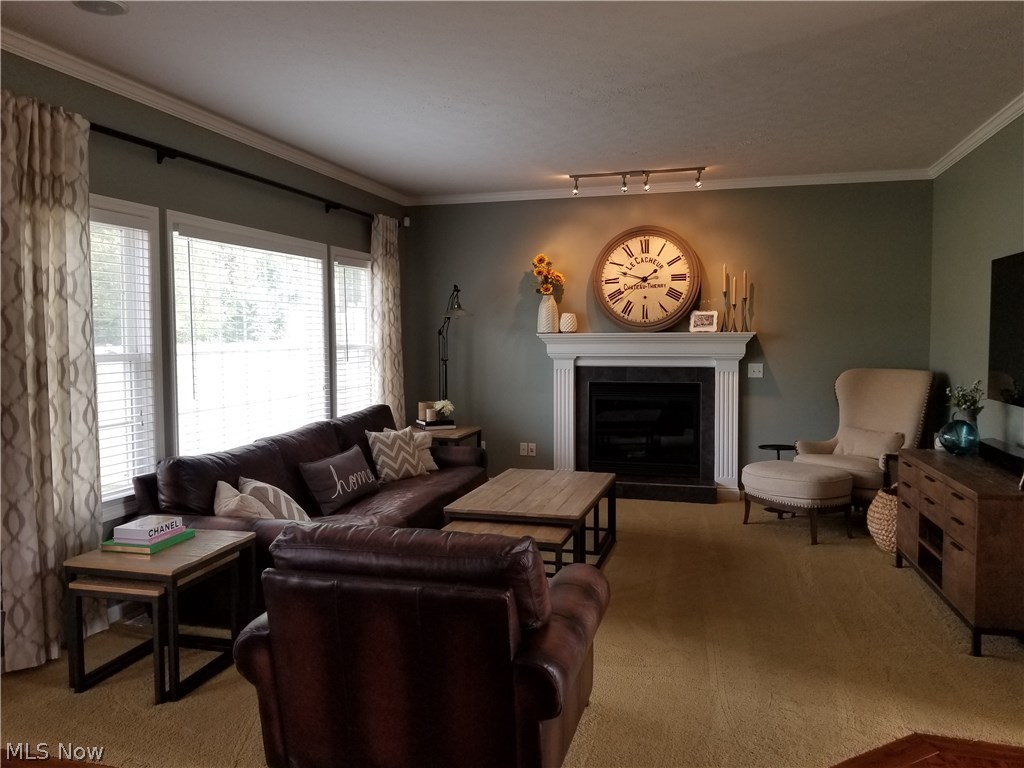 1177 Singleton Akron, OH 44321 - Photo 6 of 33 Great Room with gas fireplace and natural light from the wall of windows