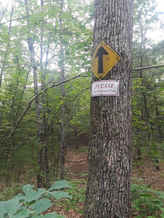 0 Abbott Mountain Road Shapleigh, ME 04076 - Photo 15 of 15 15. Near end property on left.