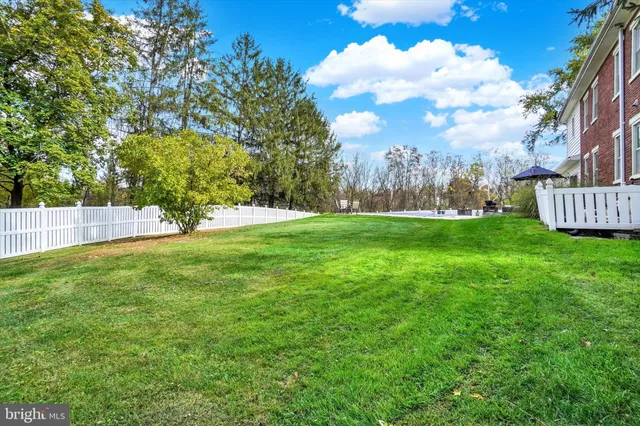 a view of a field with a big trees