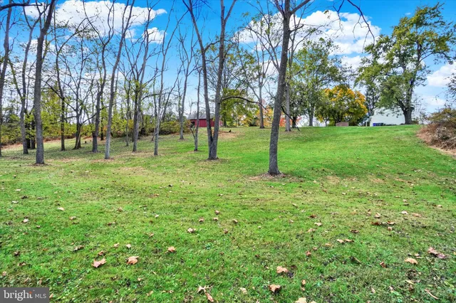 a green field with lots of trees