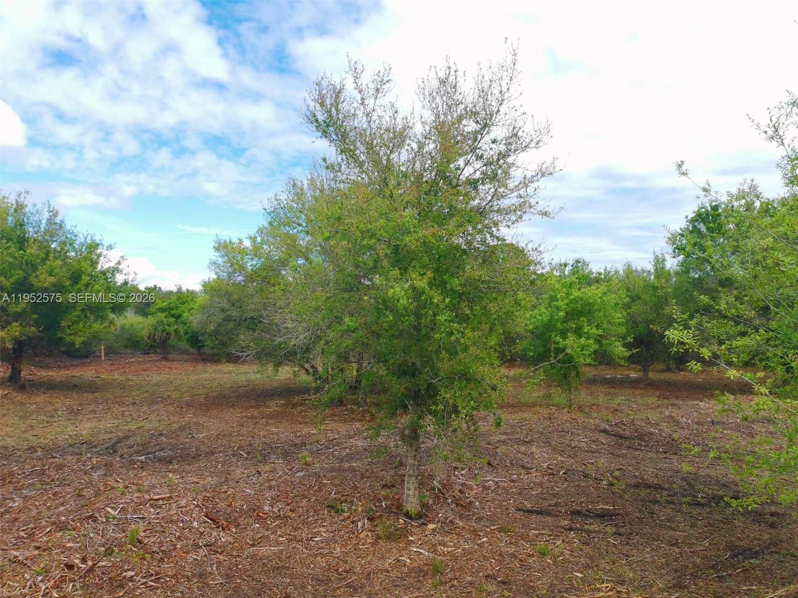 103 Hunting Club Avenue Clewiston, FL 33440 - Photo 2 of 16