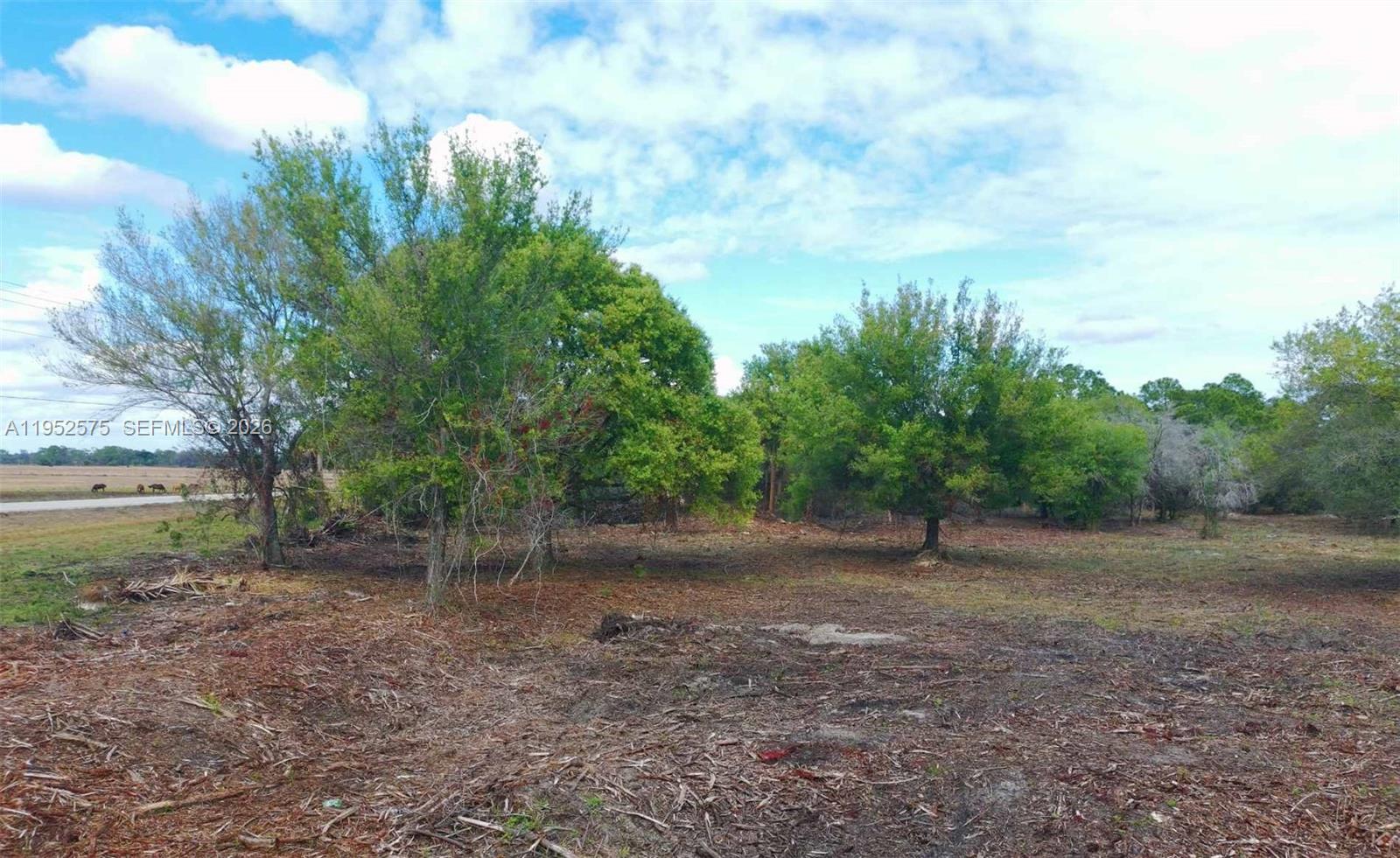 103 Hunting Club Avenue Clewiston, FL 33440 - Photo 3 of 16