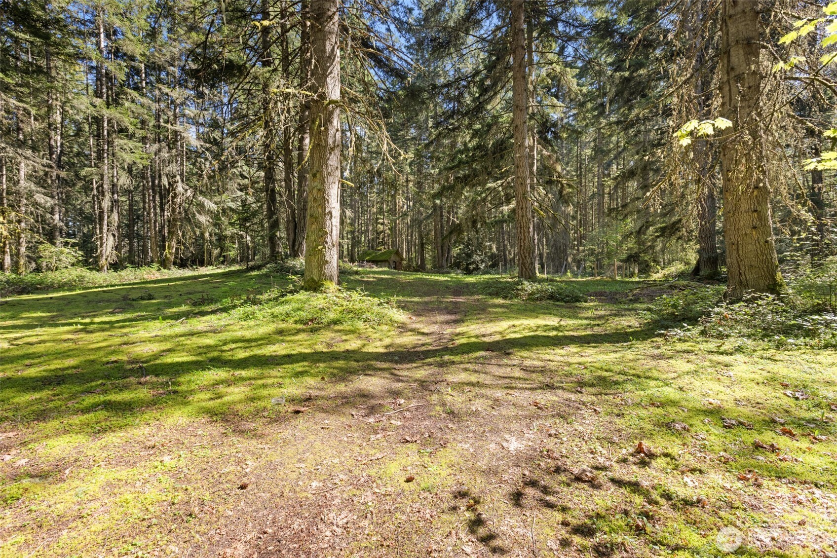 516 Gellor Road Port Angeles, WA 98362 - Photo 23 of 40