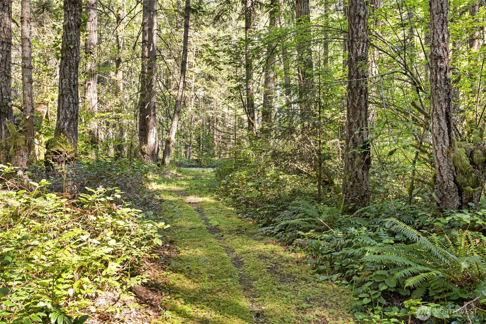 516 Gellor Road Port Angeles, WA 98362 - Photo 25 of 40
