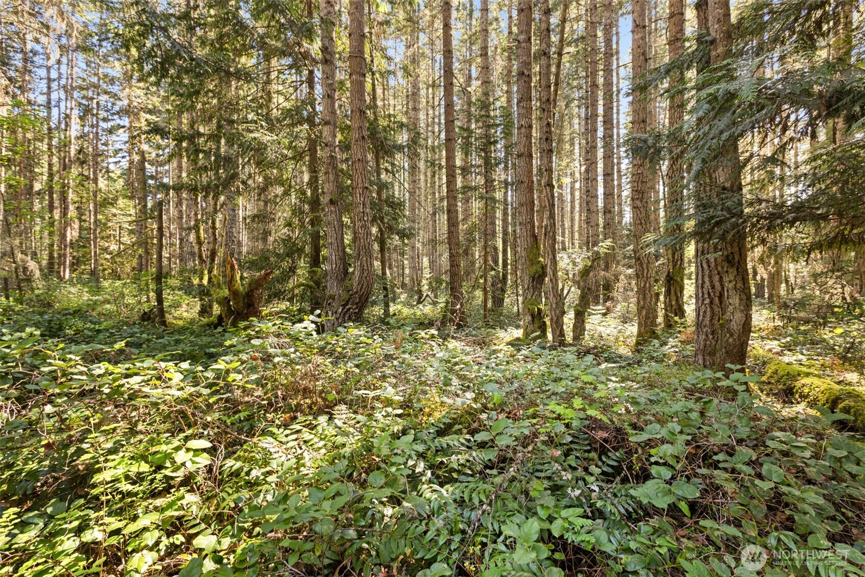 516 Gellor Road Port Angeles, WA 98362 - Photo 26 of 40