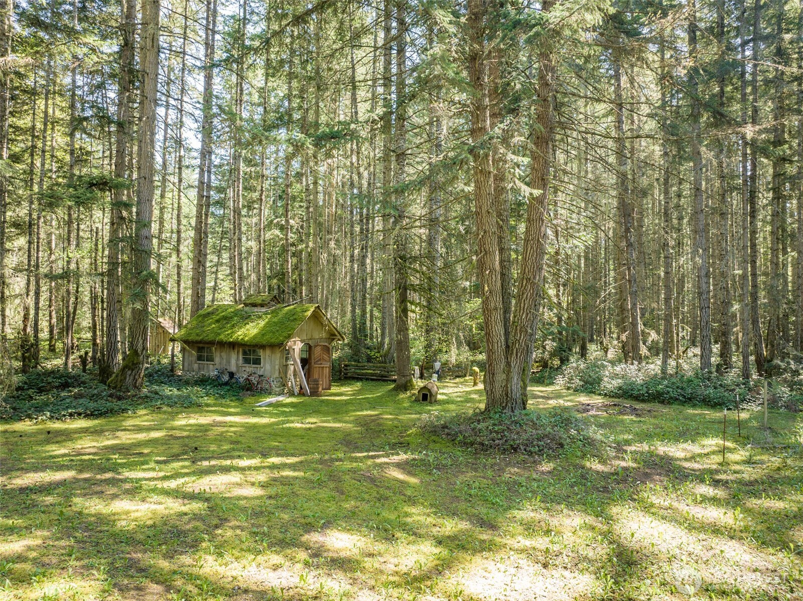 516 Gellor Road Port Angeles, WA 98362 - Photo 27 of 40