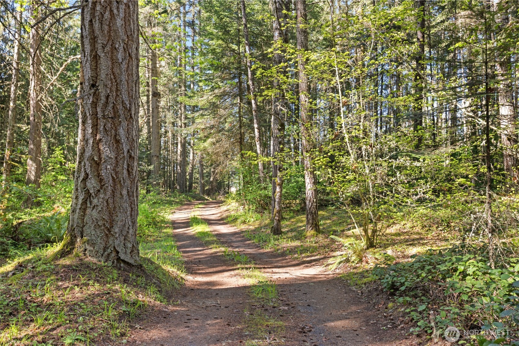 516 Gellor Road Port Angeles, WA 98362 - Photo 35 of 40