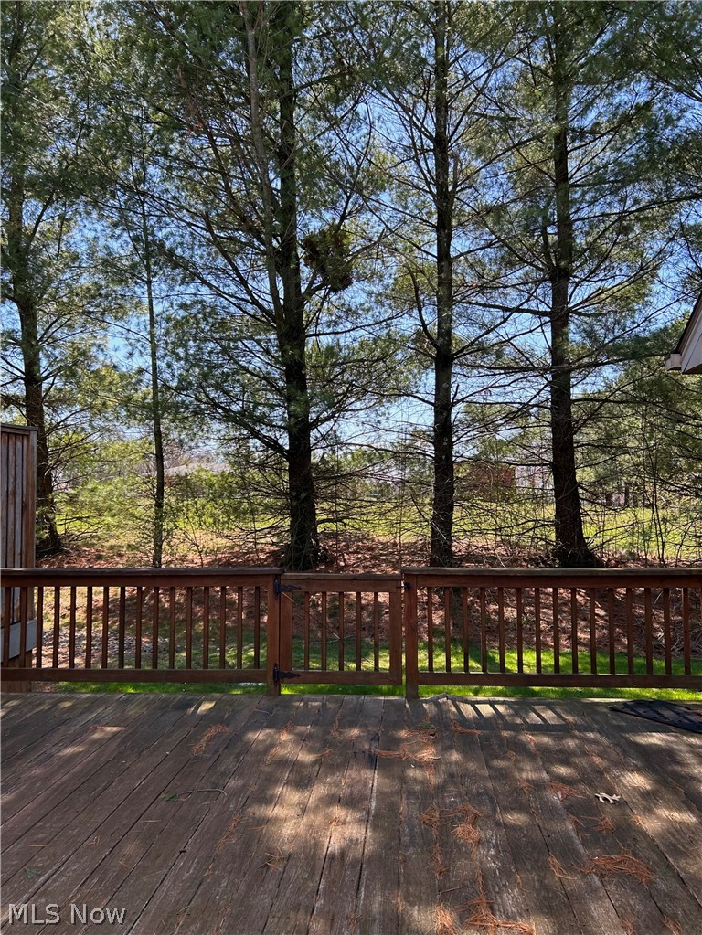 40 East Western Reserve Road, Unit 1 Youngstown, OH 44514 - Photo 26 of 33 View of wooden deck