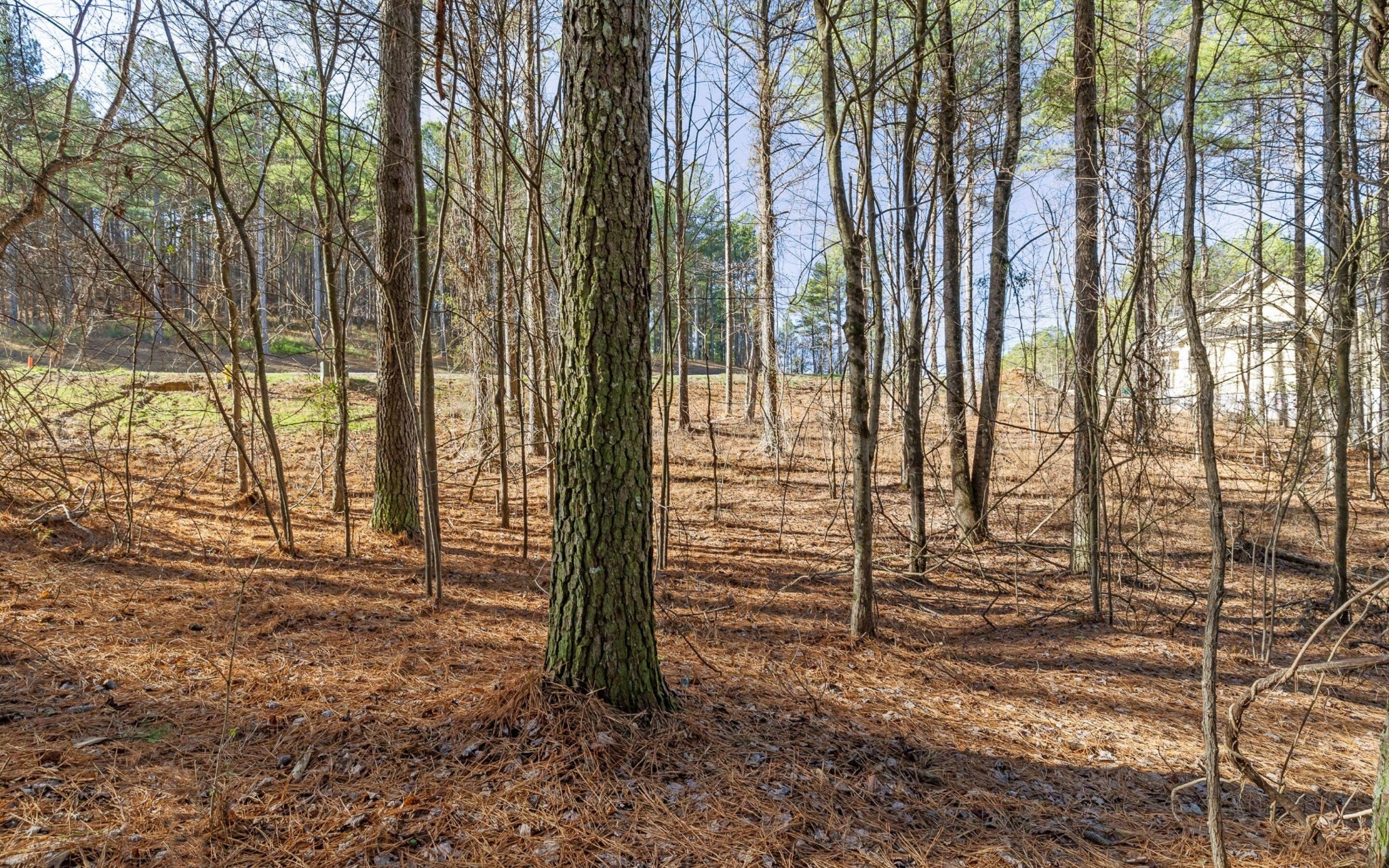 1125 Split Rail Way Guild, TN 37340 - Photo 8 of 26 Gallery Image 8