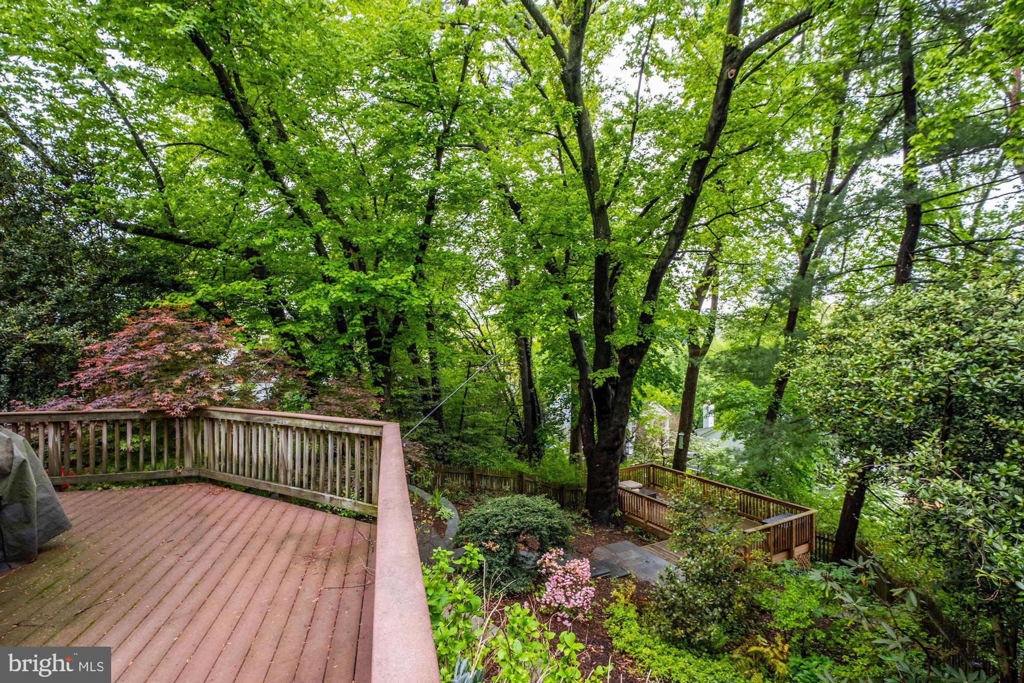 6009 Corbin Road Bethesda, MD 20816 - Photo 7 of 60 Gallery Image 7