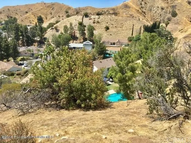 a view of a yard with a large tree