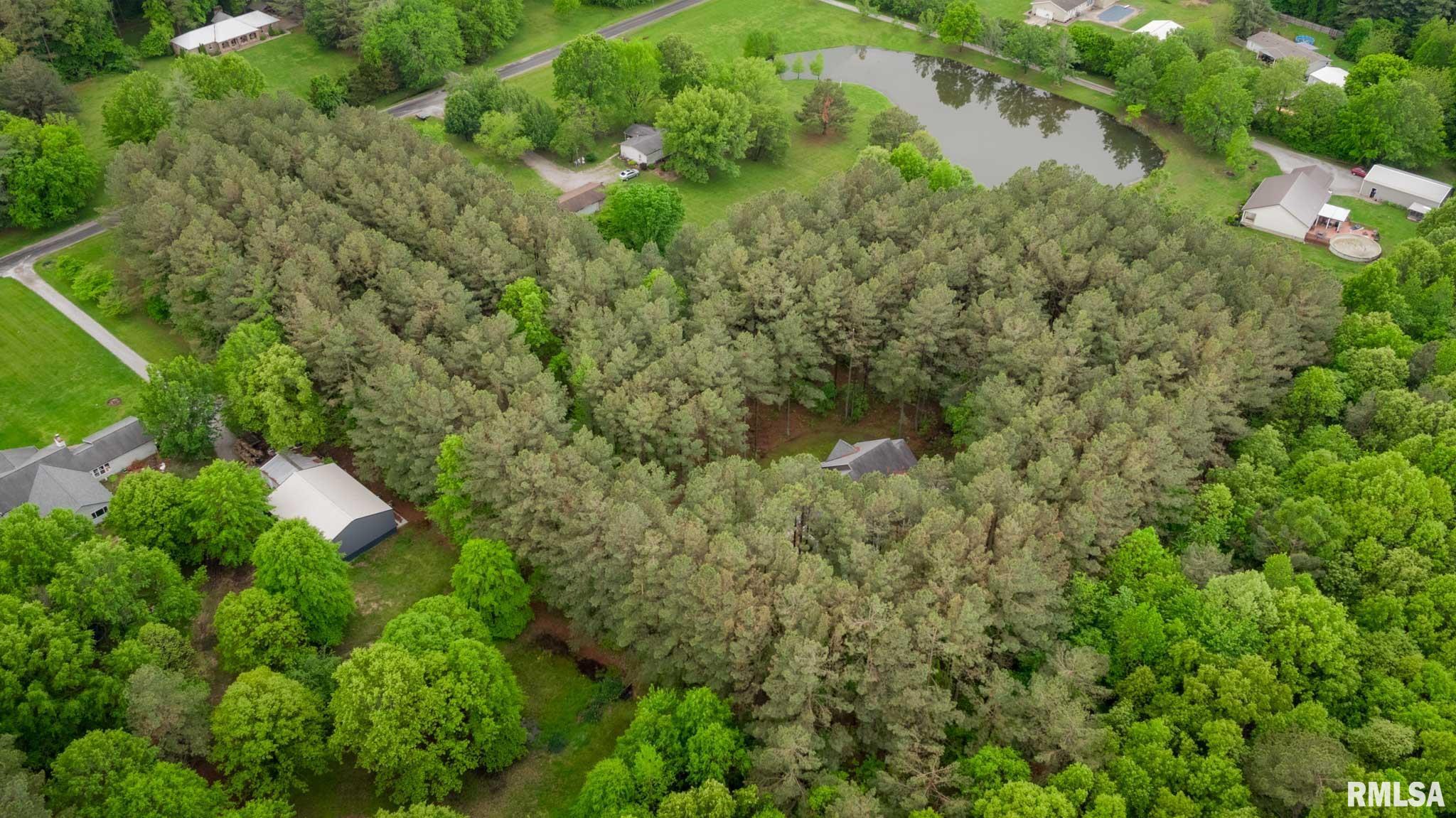 3972 Baptist Camp Road Carterville, IL 62918 - Photo 36 of 44 Gallery Image 36
