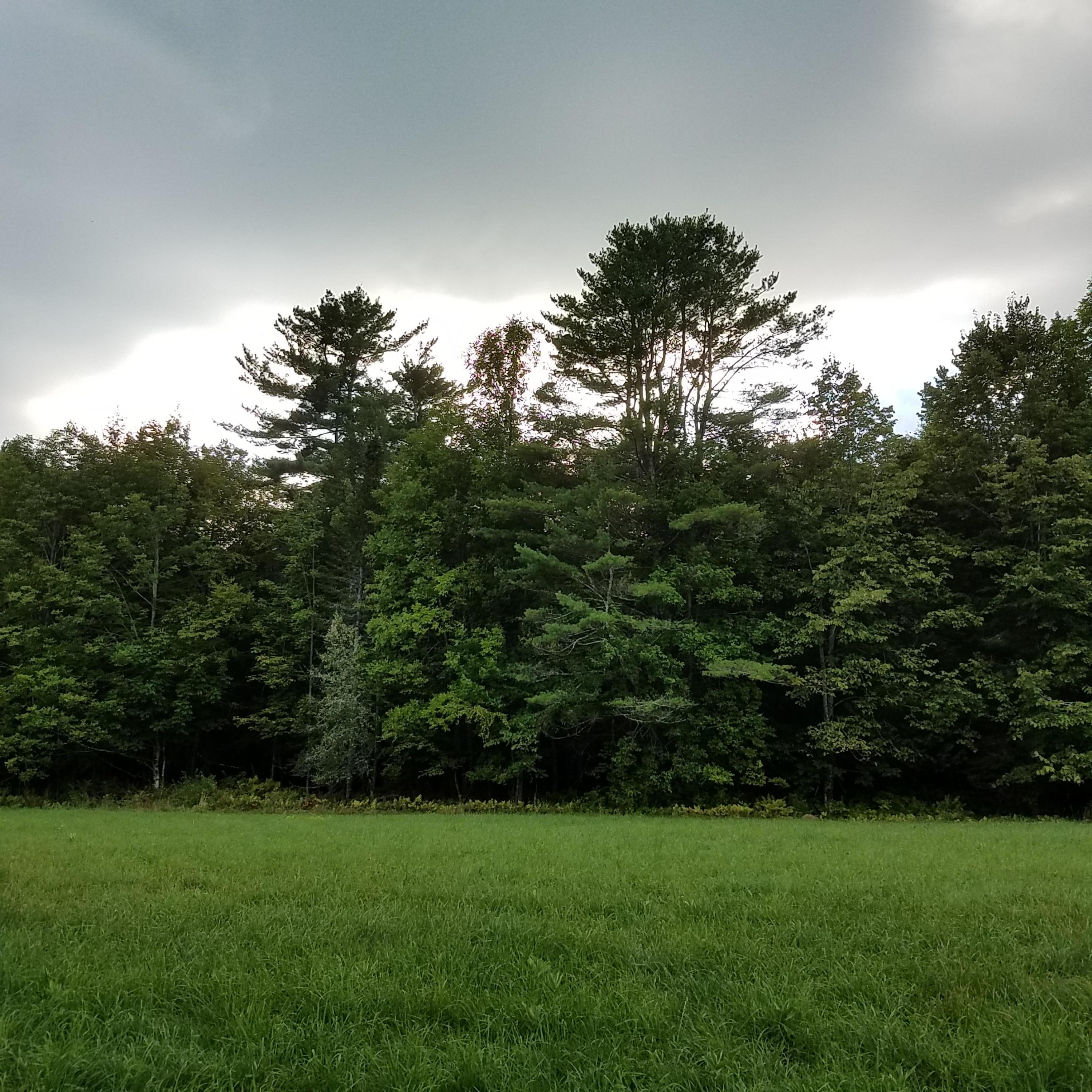 986 Waterville Road Unity, ME 04988 - Photo 12 of 41 20190830_175159
