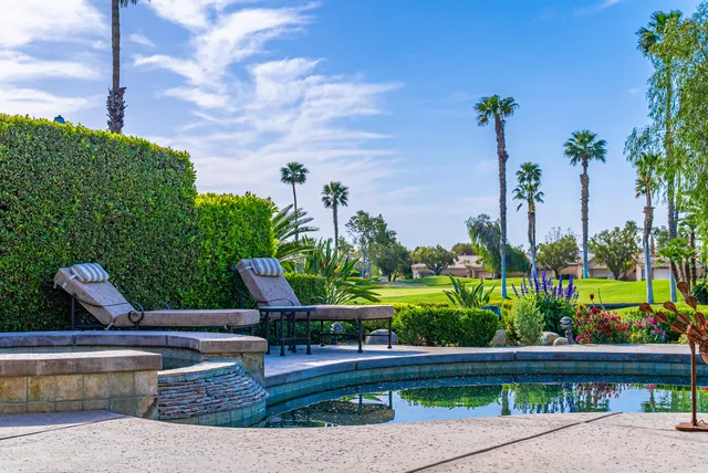 a view of a garden with plants