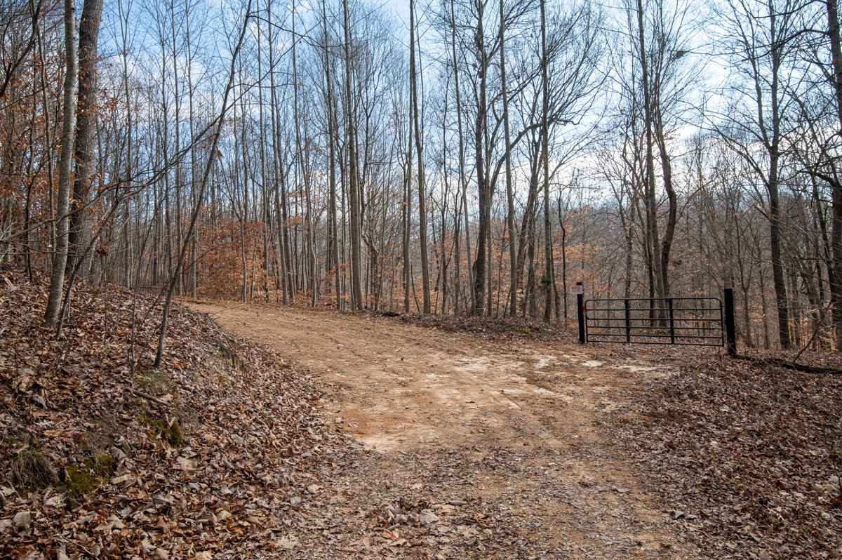 0 Bursby Branch Road Gallatin, TN 37066 - Photo 11 of 37 Gallery Image 11