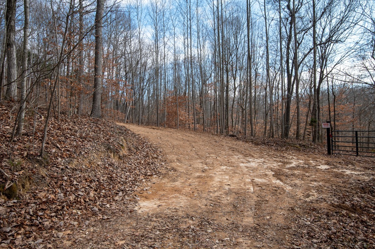 0 Bursby Branch Road Gallatin, TN 37066 - Photo 14 of 37 Gallery Image 14