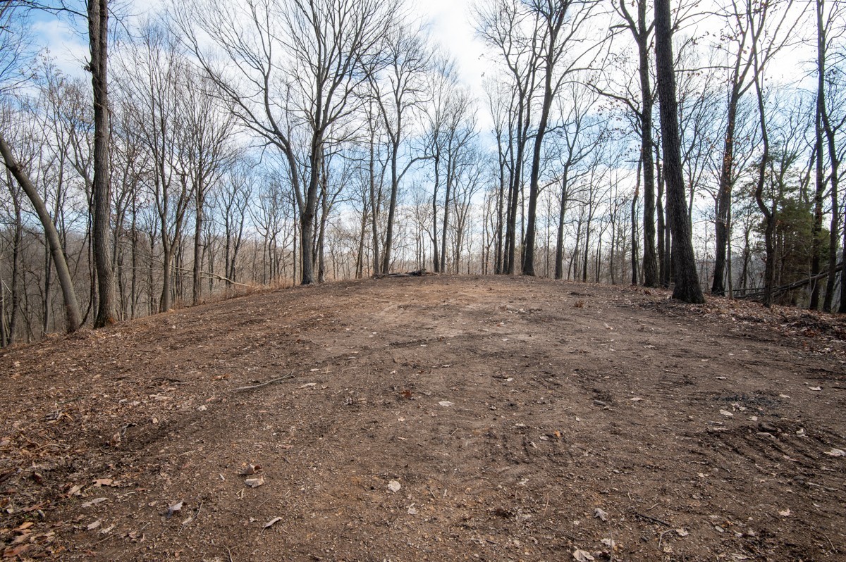 0 Bursby Branch Road Gallatin, TN 37066 - Photo 15 of 37 Gallery Image 15