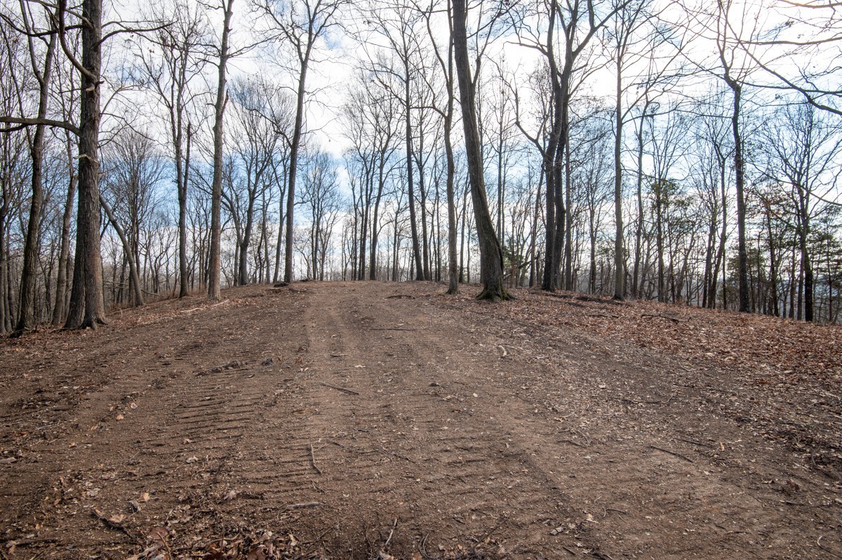 0 Bursby Branch Road Gallatin, TN 37066 - Photo 17 of 37 Gallery Image 17