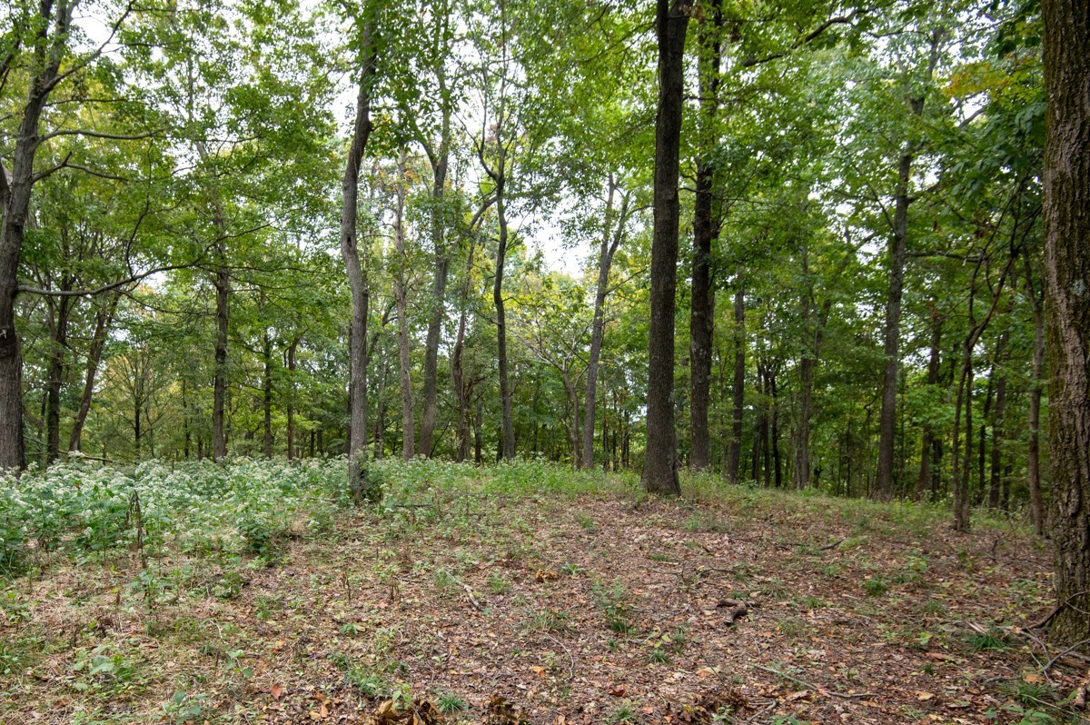 0 Bursby Branch Road Gallatin, TN 37066 - Photo 21 of 37 Gallery Image 21