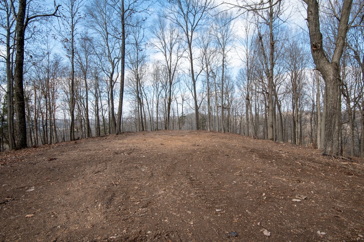 0 Bursby Branch Road Gallatin, TN 37066 - Photo 24 of 37 Gallery Image 24