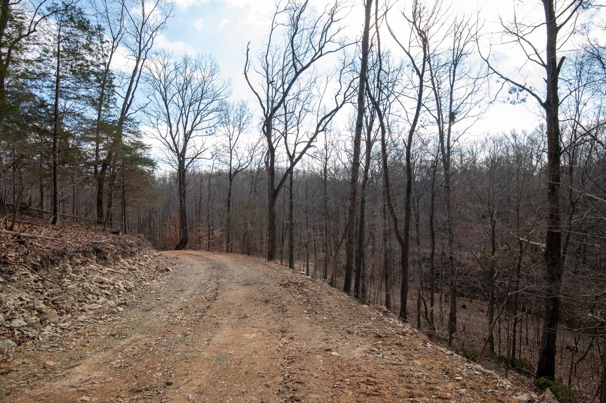 0 Bursby Branch Road Gallatin, TN 37066 - Photo 27 of 37 Gallery Image 27