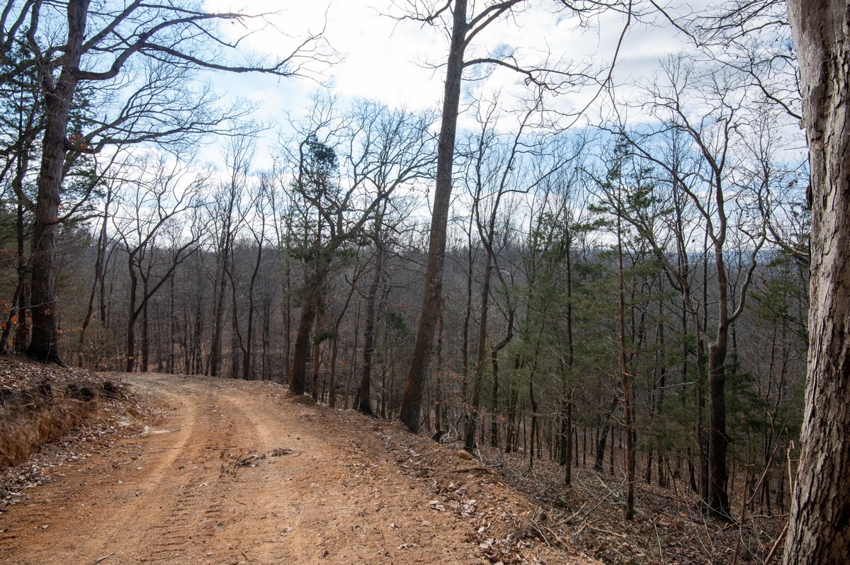 0 Bursby Branch Road Gallatin, TN 37066 - Photo 29 of 37 Gallery Image 29
