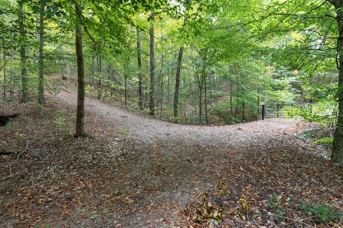0 Bursby Branch Road Gallatin, TN 37066 - Photo 3 of 37 Gallery Image 3
