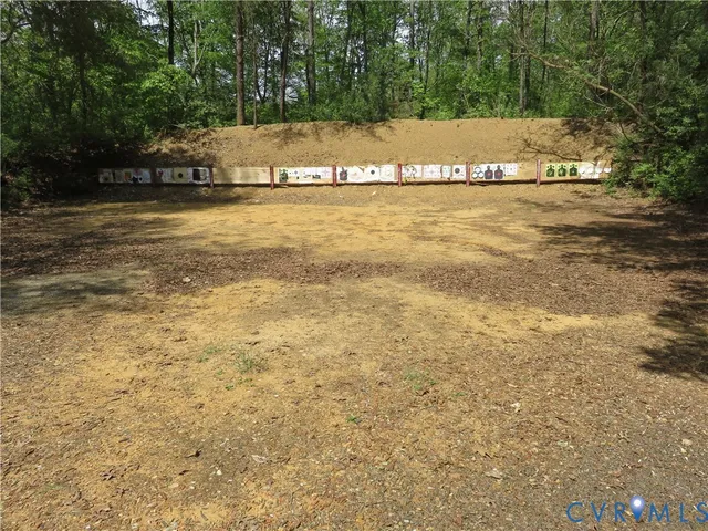 a view of a forest with trees in the background