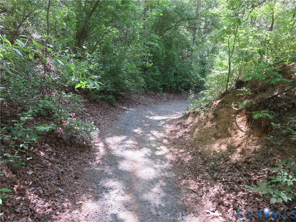 4292 Range Road Mechanicsville, VA 23111 - Photo 44 of 50 a view of a forest with trees in the background