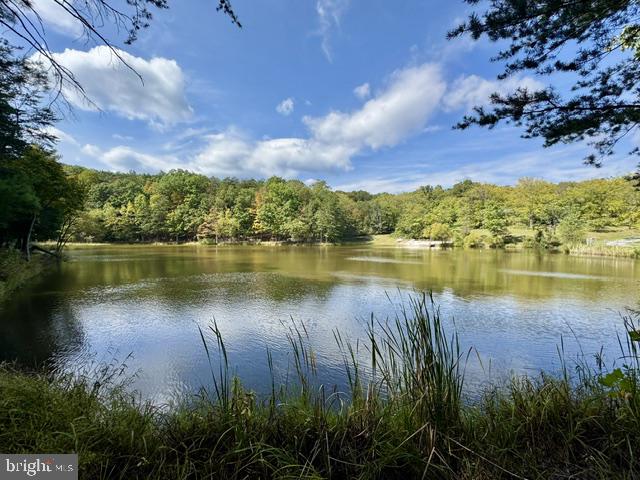 Hungaria Road Berkeley Springs, WV 25411 - Photo 12 of 15 community lake