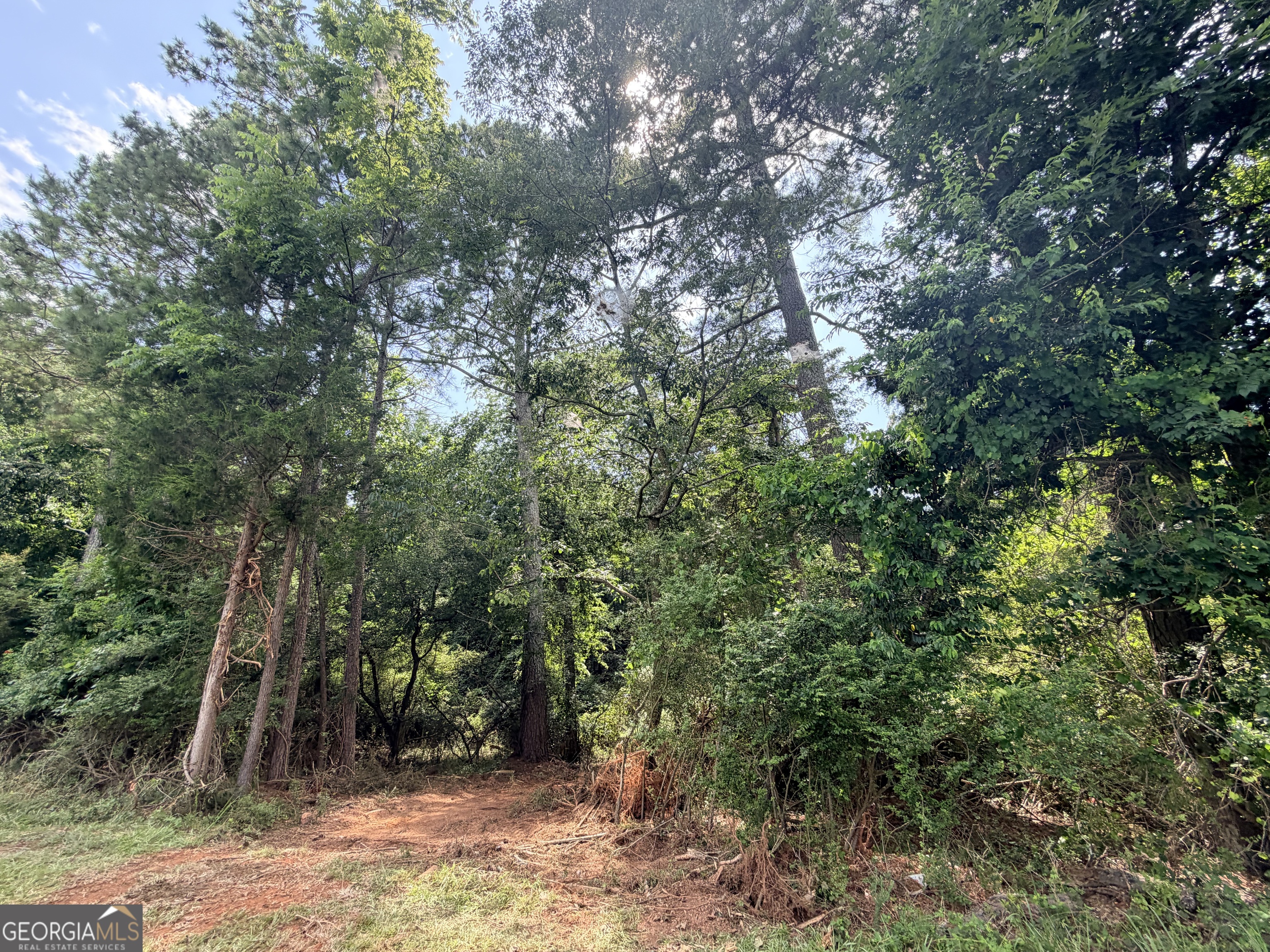 1590 James Adams Road Danielsville, GA 30633 - Photo 5 of 98