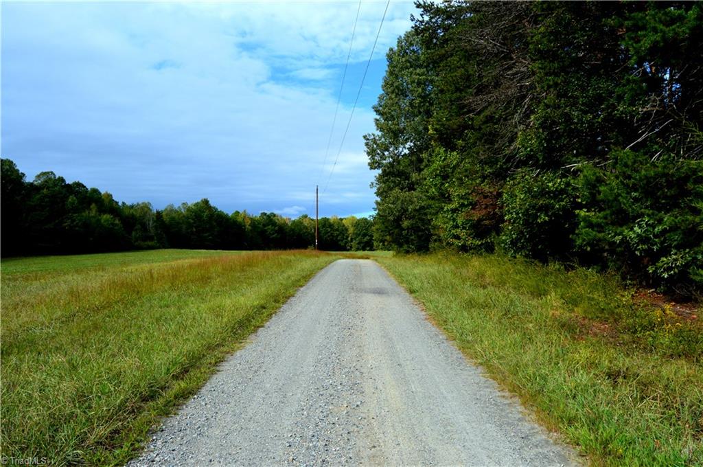 0 Dix Road Ruffin, NC 27326 - Photo 13 of 30