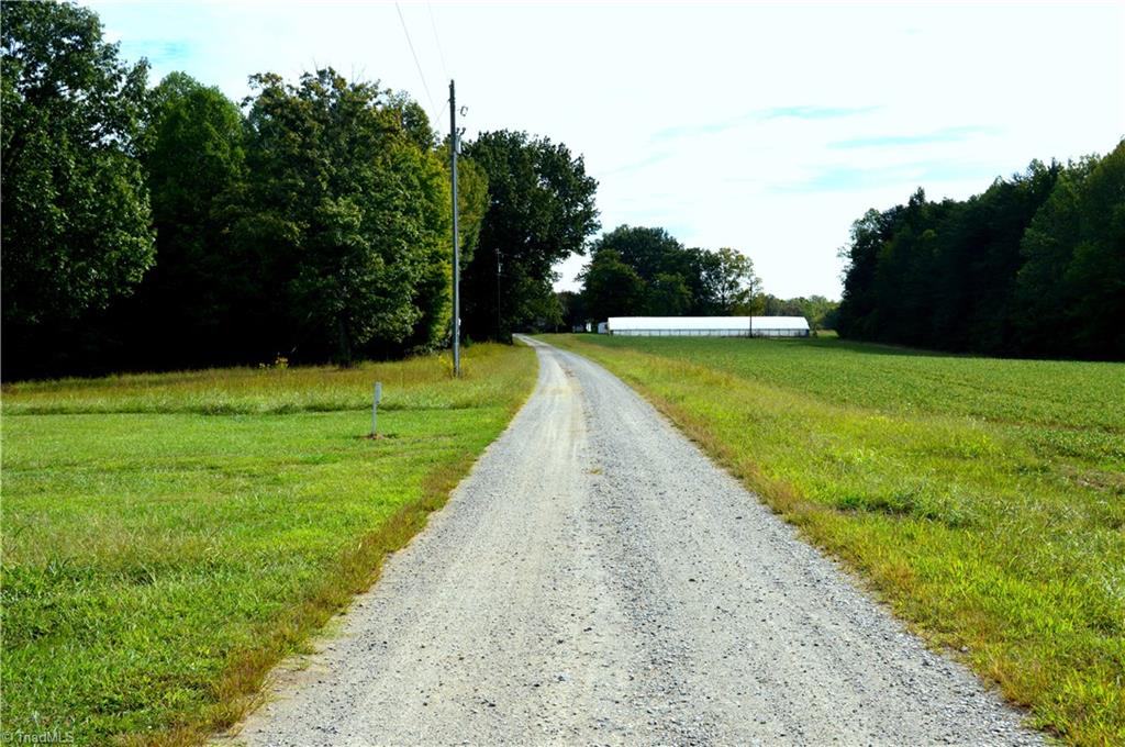 0 Dix Road Ruffin, NC 27326 - Photo 14 of 30