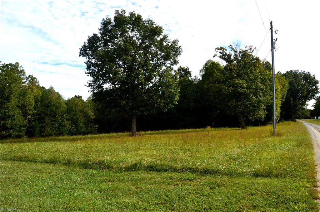 0 Dix Road Ruffin, NC 27326 - Photo 15 of 30