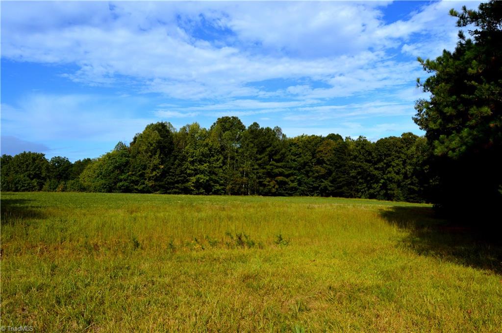 0 Dix Road Ruffin, NC 27326 - Photo 16 of 30